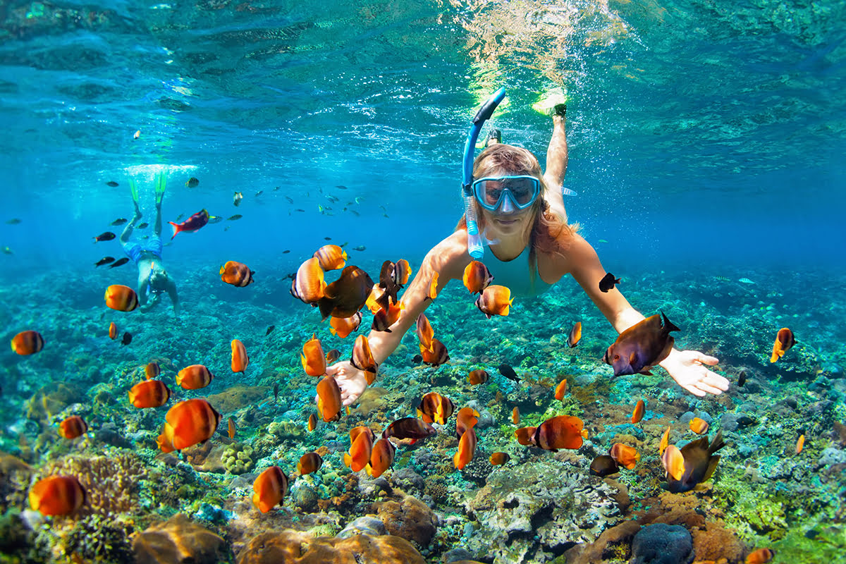 coral island tourists snorkeling